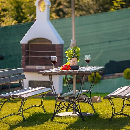 Villa Kasztelan Apartamenty 우스트르치키 돌네 외부 사진