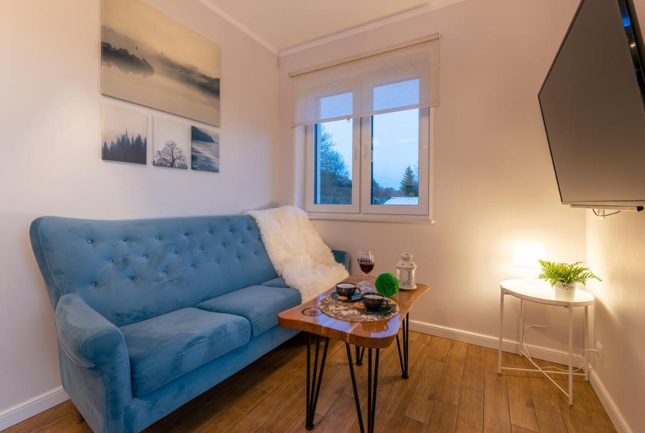 Villa Kasztelan Apartamenty 우스트르치키 돌네 외부 사진